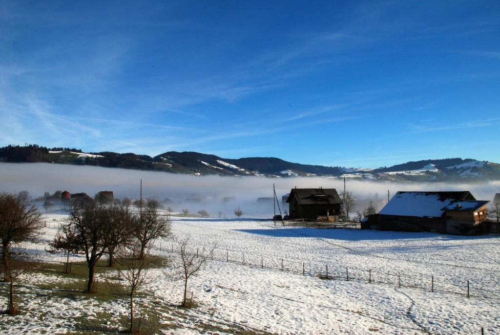 Naturnoech Унтерегери Номер фото